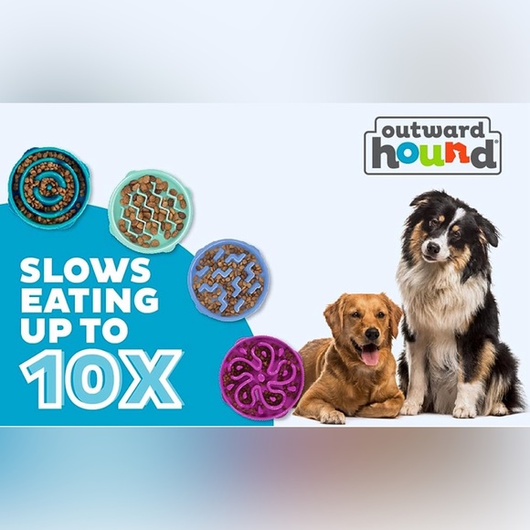 🐶 NIB Dog Slow Feeder Bowl 🐶 - Picture 6 of 7